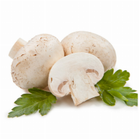 قارچ تازه و دستچین شده (یک کیلوگرم)