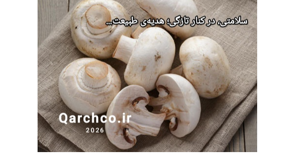 qarchco.ir