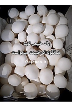 qarchco.ir