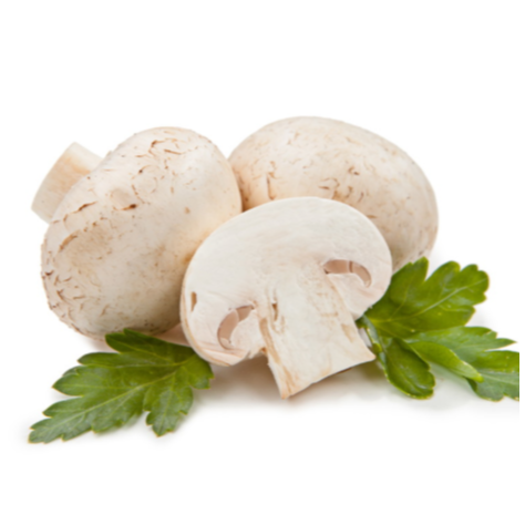 قارچ تازه و دستچین شده (یک کیلوگرم) 0